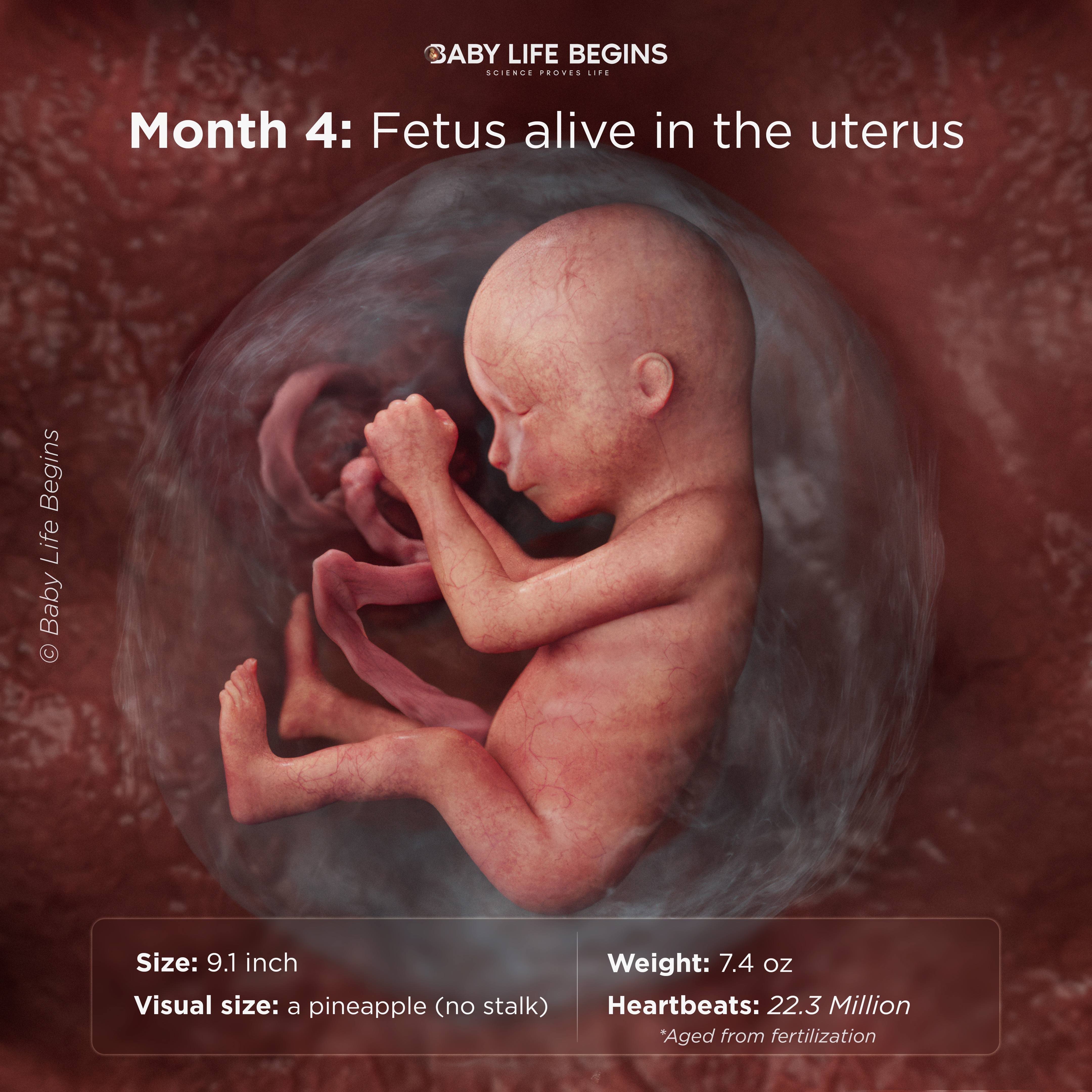 Month 4 Movements Become Stronger & Features Sharpen