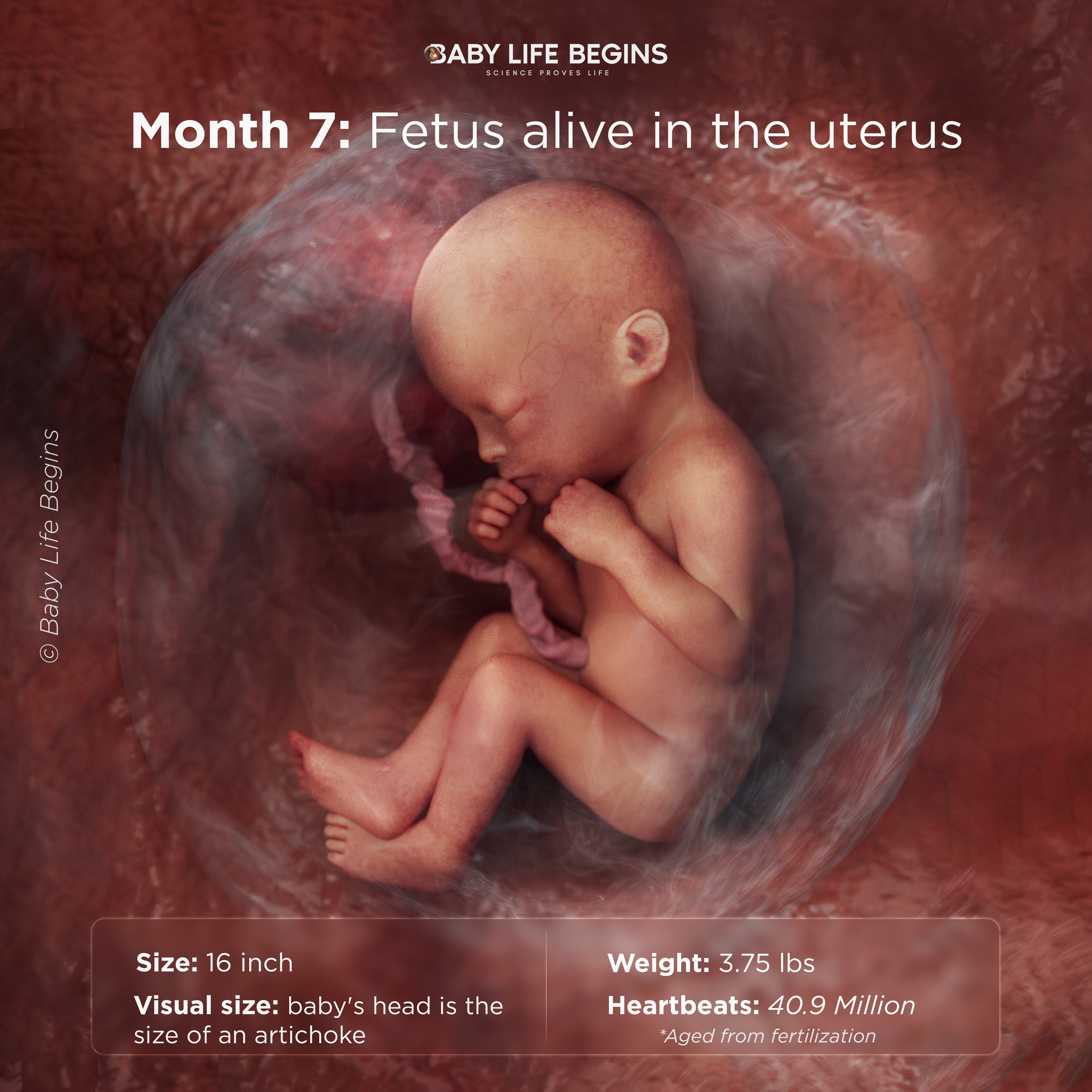 Month 7 Hearing, Breathing Practice, and Awake/Sleep Cycles