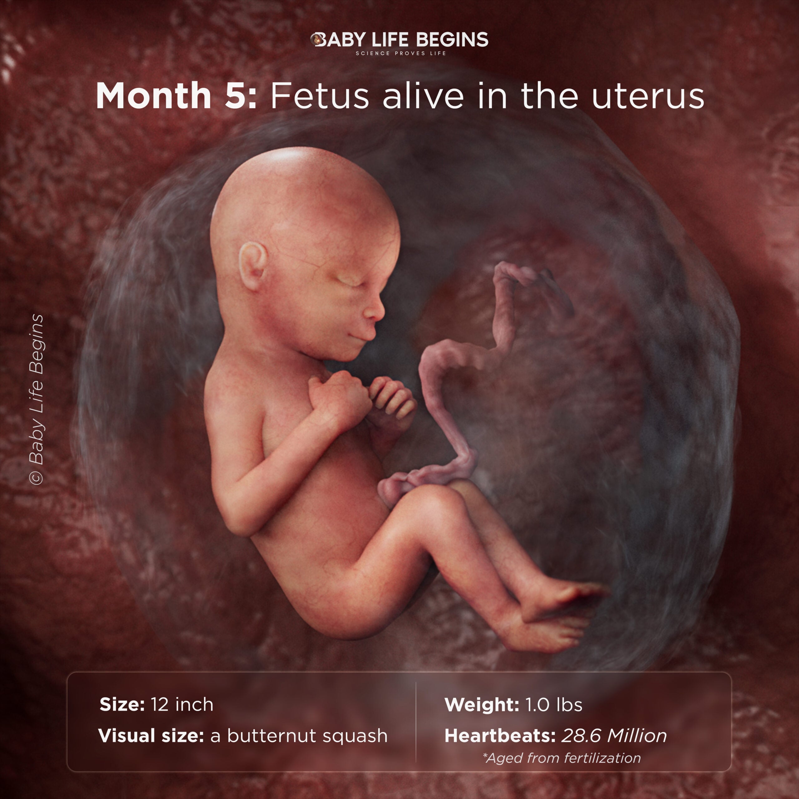 Month 5: Growing and responsive