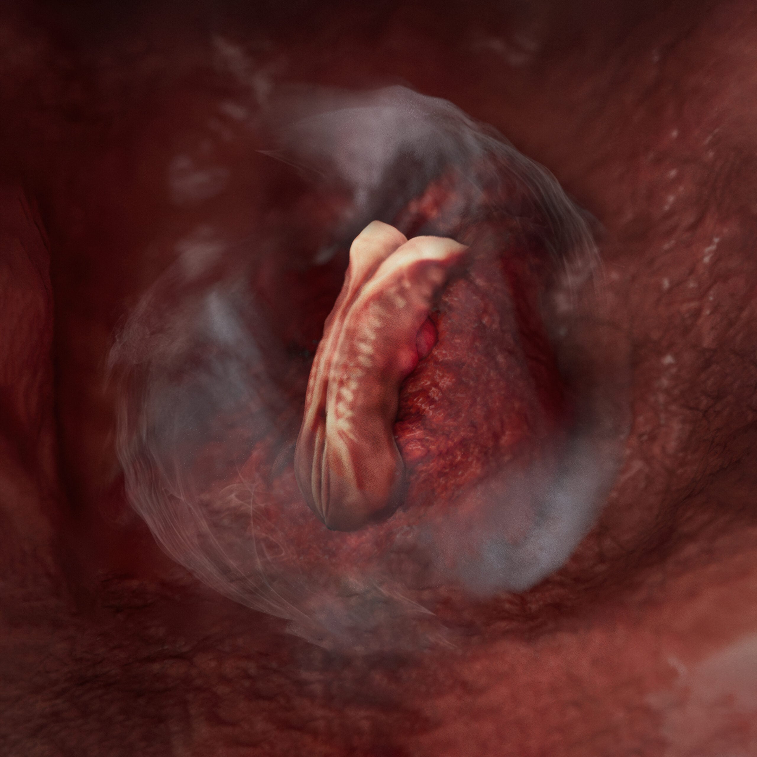 Week 3 embryo stage